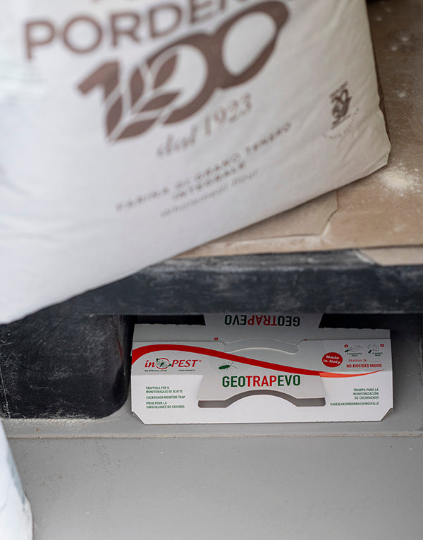 InPest GEOTRAP EVO kakkerlakkenval – 20 stuks
