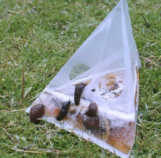Zeg vaarwel tegen slakkenvraat met deze slimme slakkenval 20 stuks