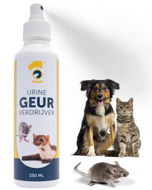 Eindelijk die vieze urinegeur van muizen en ratten kwijt