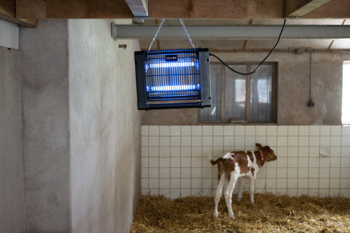 Knock Pest InsectKiller Vliegenlamp | 2 x 6 Watt UV-A | 30 m² Bereik