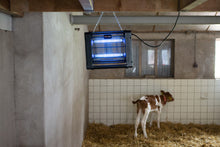 Knock Pest InsectKiller Vliegenlamp | 2 x 6 Watt UV-A | 30 m² Bereik