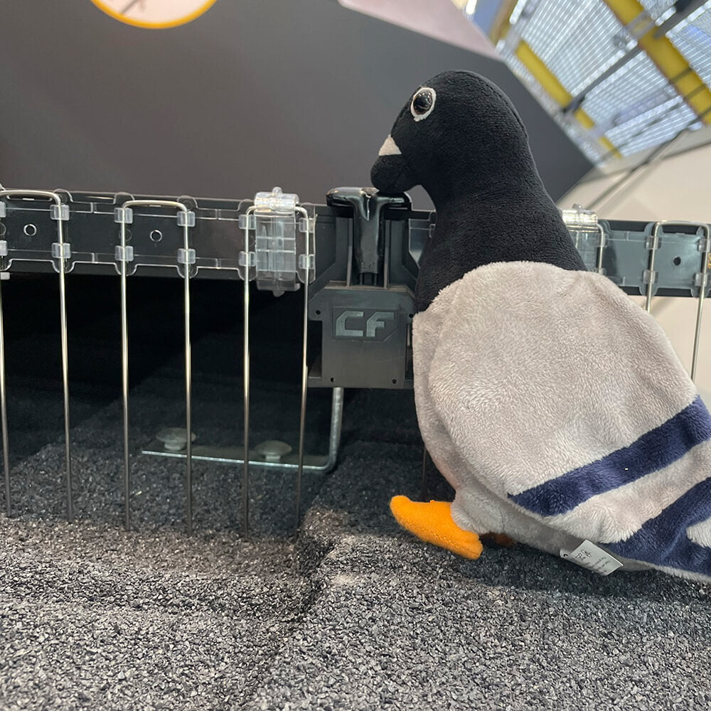 Zwarte Vogelwering voor Zonnepanelen | 50 cm | Nagenoeg Onzichtbaar