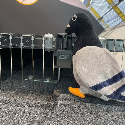 Zwarte Vogelwering voor Zonnepanelen | 50 cm | Nagenoeg Onzichtbaar