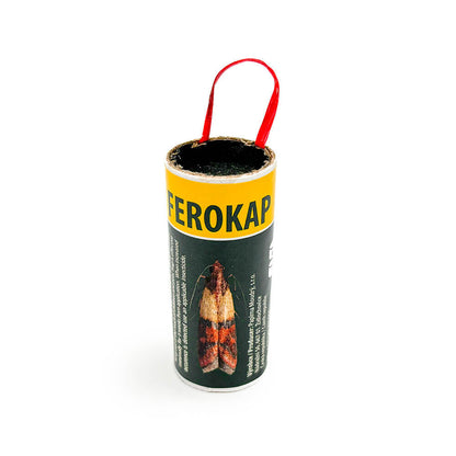 Ferokap Voedselmottenval | 5 Stuks | Werkt ook tegen Huisvliegen