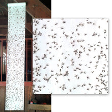 Insective Vliegenrol | 10 Meter Kleefpapier | Extra Aantrekkingskracht