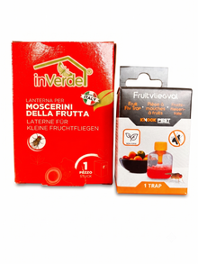 Fruitvliegjesvallen – Set van 2 verschillende vallen