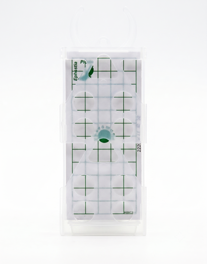InPest GEO GEL PAD Kleermottenval – 10 stuks met hanger