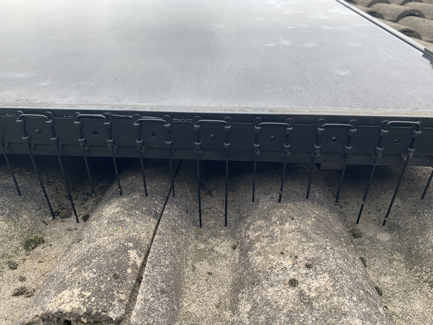 Zwarte Vogelwering voor Zonnepanelen | 50 cm | Nagenoeg Onzichtbaar