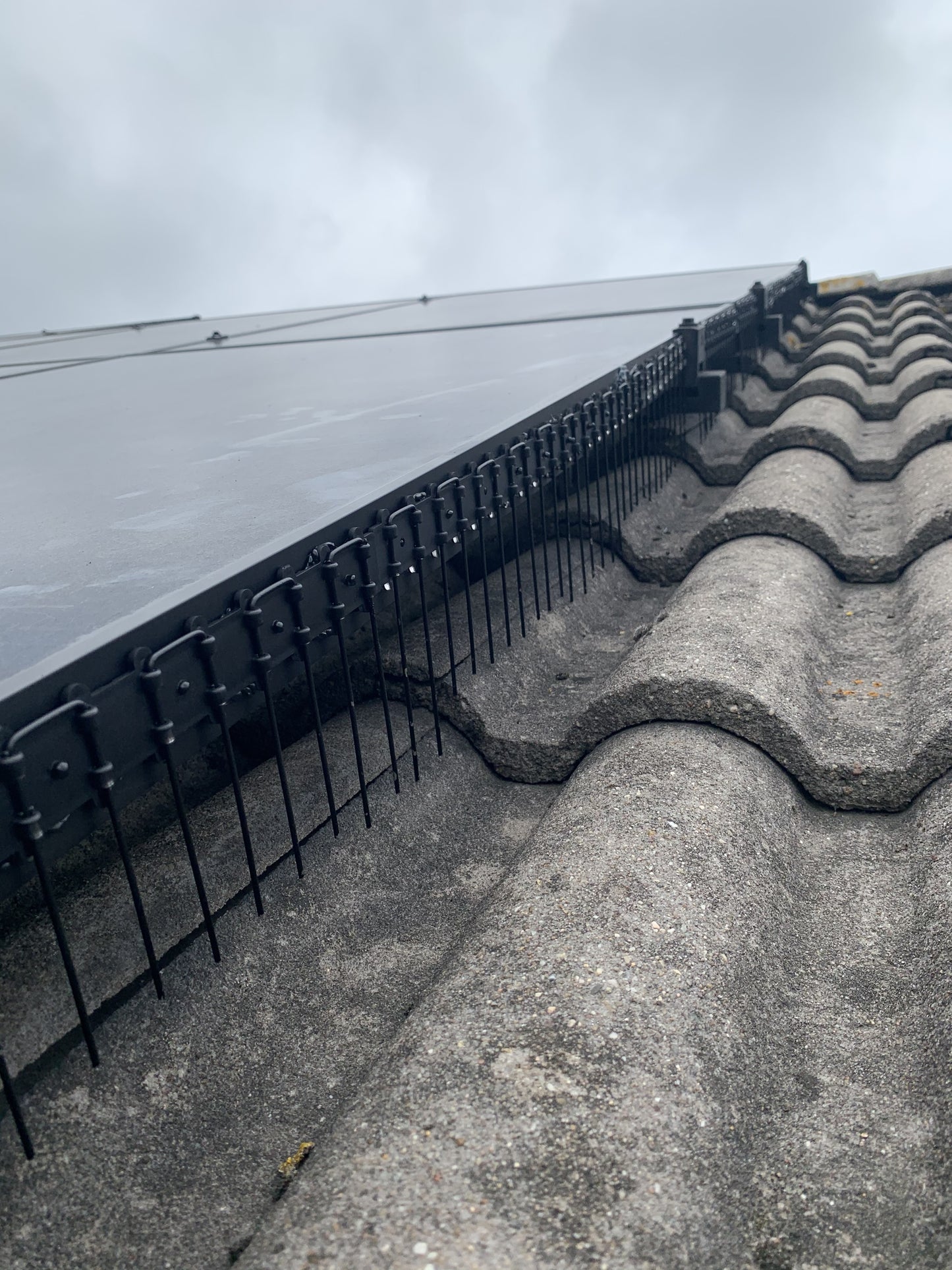 Zwarte Vogelwering voor Zonnepanelen | 50 cm | Nagenoeg Onzichtbaar