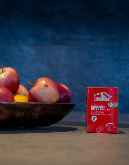 Fruitvliegen Monitoringval – Effectieve Vangst & Monitoring van Fruitvliegen