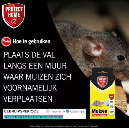 Protect Home Express Lokdoos Muizen – 1 Stuk