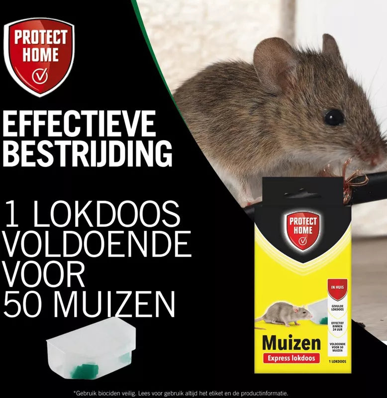 Protect Home Express Lokdoos Muizen – 1 Stuk