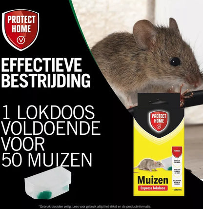 Protect Home Express Lokdoos Muizen – 1 Stuk