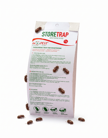 Store Trap – Professionele Monitoringsval voor Vliegende Voorraadplagen