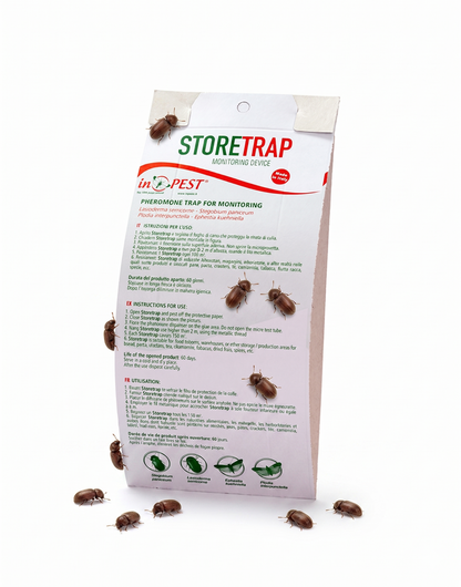 Store Trap – Professionele Monitoringsval voor Vliegende Voorraadplagen