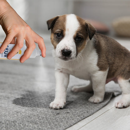 Smell Control Geurverfrisser | Muizen, Ratten & Huisdieren | 24 Uur Actief | Geurneutraliseerder