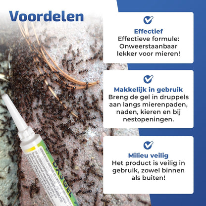 ONE FPP Mierengel | Professioneel Mierenvergif voor Thuis & Tuin | 5 gram