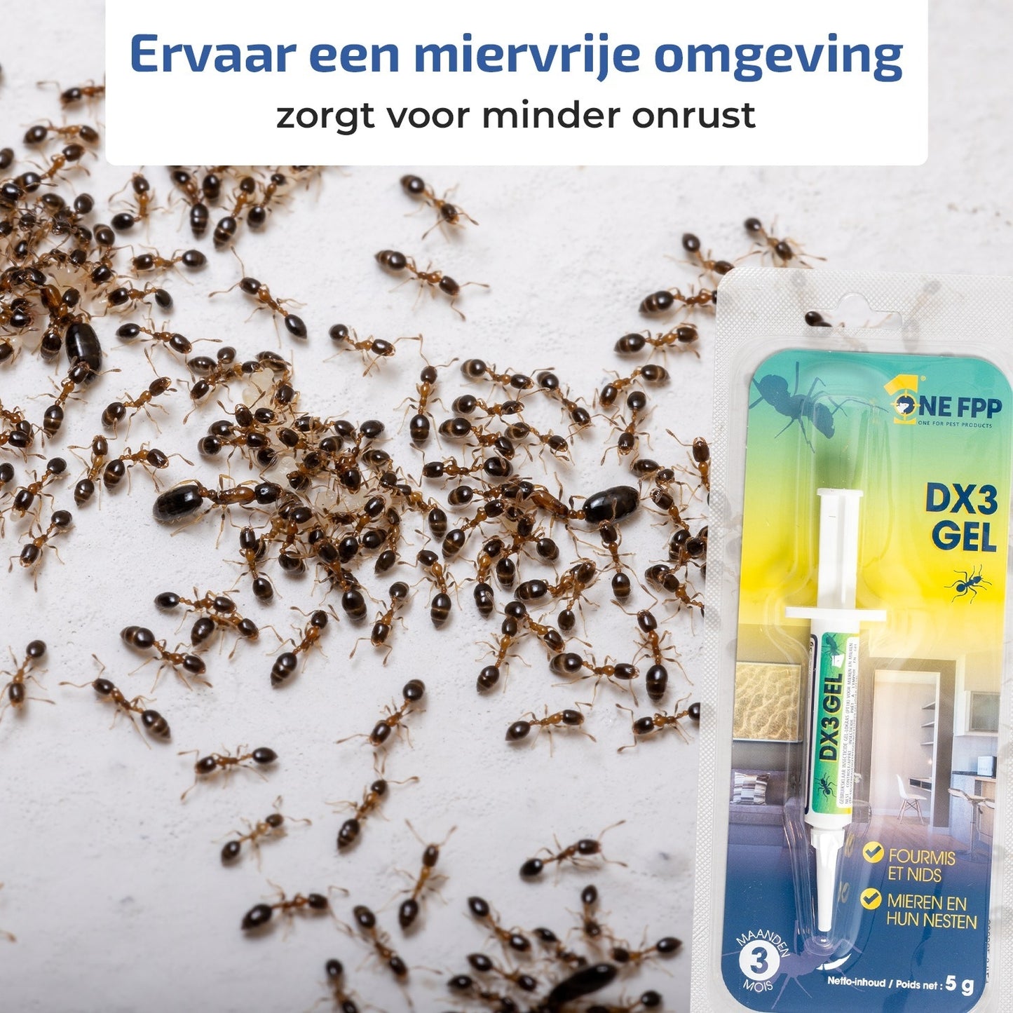 ONE FPP Mierengel | Professioneel Mierenvergif voor Thuis & Tuin | 5 gram