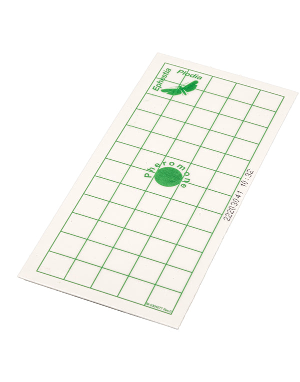 InPest GEO GEL PAD Kleermottenval – 10 stuks met hanger