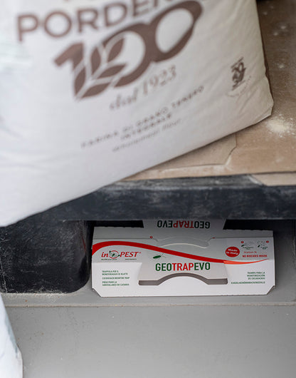 InPest GEOTRAP EVO kakkerlakkenval – 20 stuks