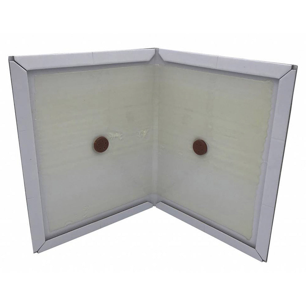 Lijmvallen Ratten | 5 Stuks | 34 x 22 cm | Sterke Lijm | Direct Vangen