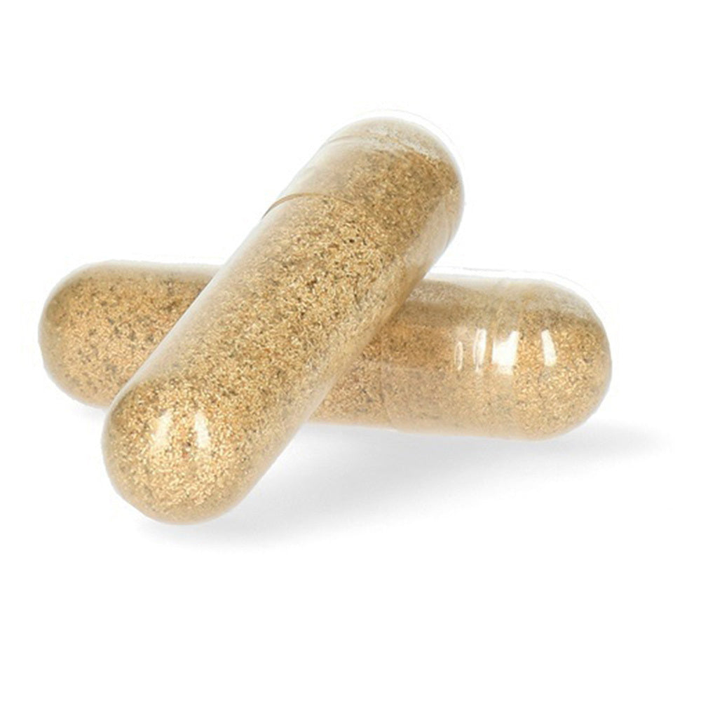 Knock Off Flynip Vliegenval | Biologische Lokstof | Duizenden Vliegen | Terras & Tuin